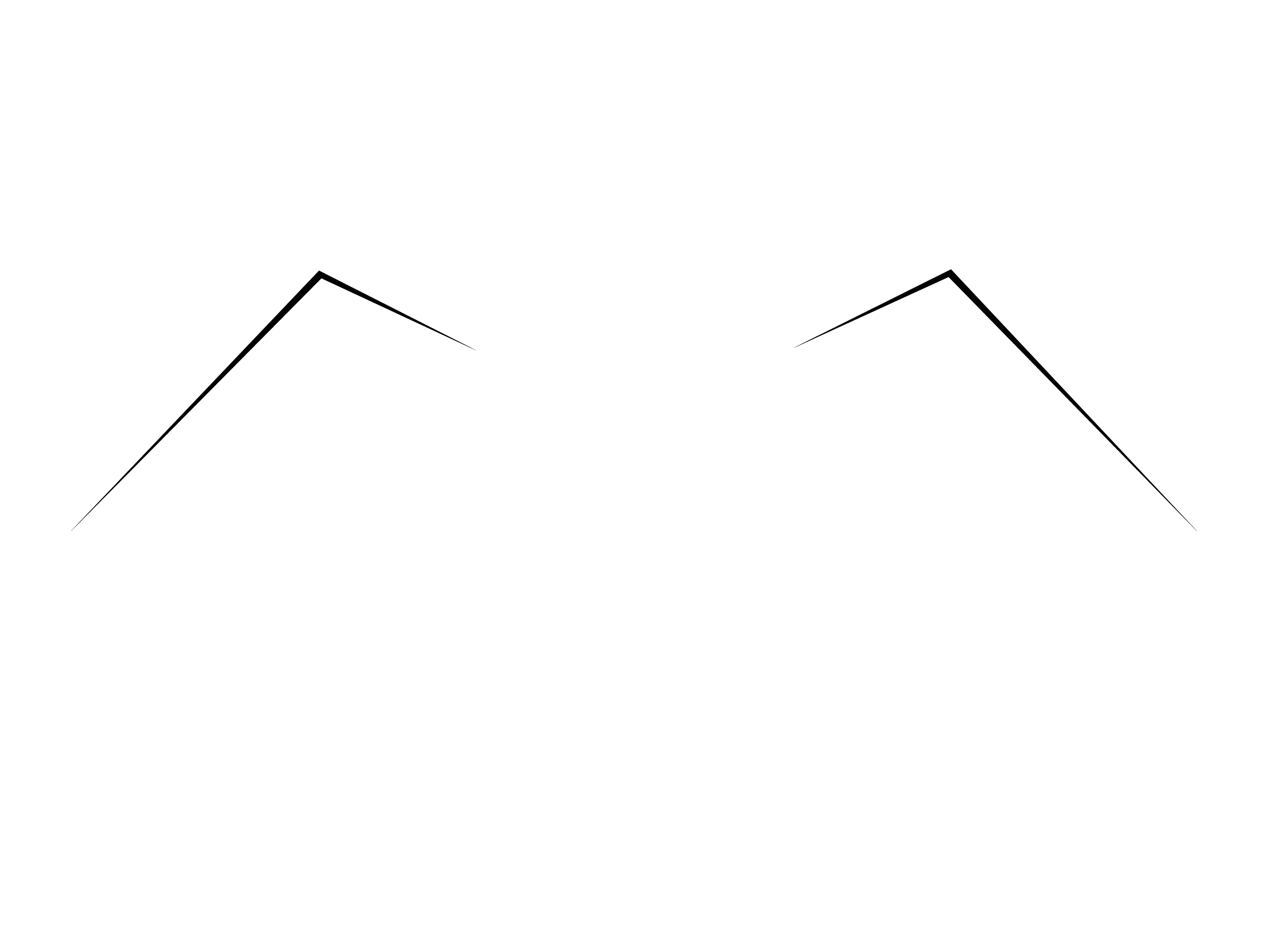 logo light
