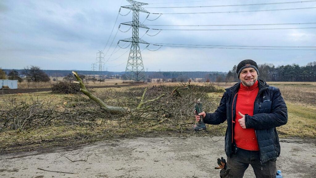 Ręczne wycinki drzew